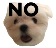 23053651