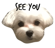 23053654