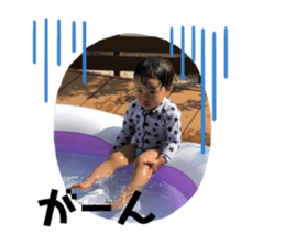 230548087