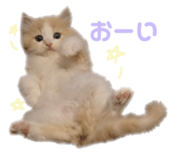 230580030