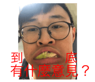 230597378