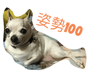 230607275