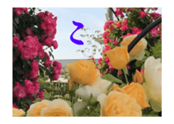 230613841