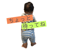 230647082