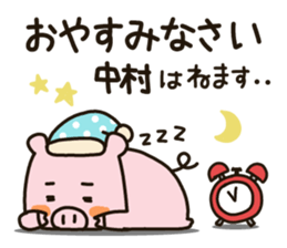 23071509