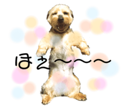 230750577