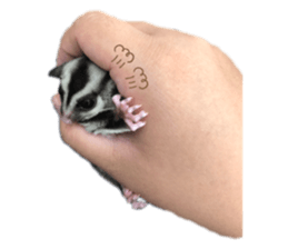 230760173