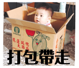 230766203