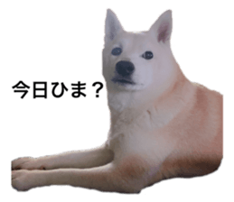 230766534