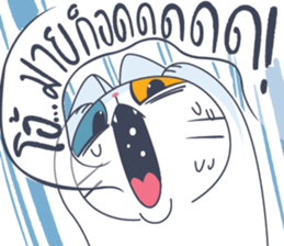 230812930