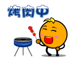 230819817