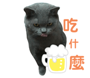 230829508