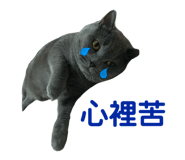 230829525