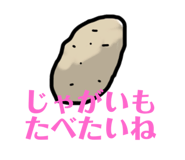 230837013