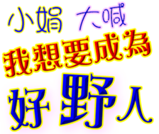230839675