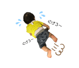 230856265