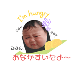 230856282