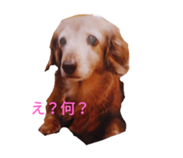 230949583