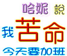 230969636
