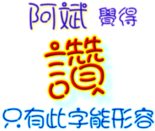 231070381