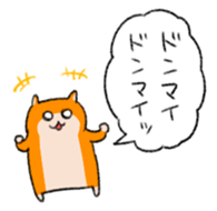 23108646