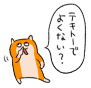 23108657