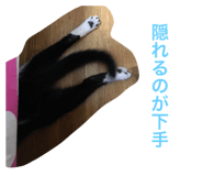 23109434