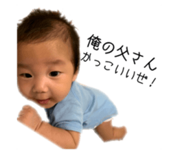 231154161