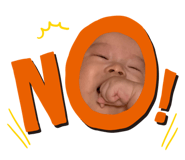 231159316