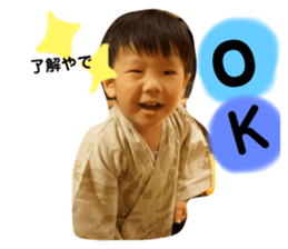 231161249