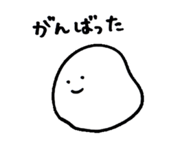 2311806