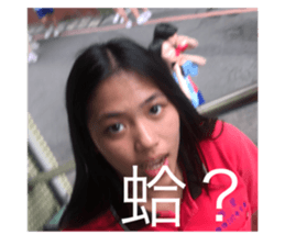 231223843