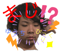 231235594