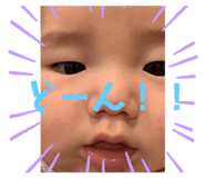 231303653