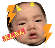 231303661