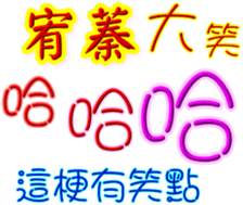231325017