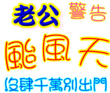 231367623