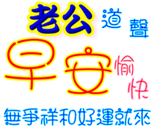 231367636