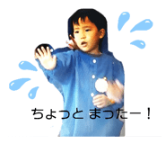231385611