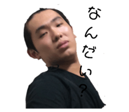 231402789