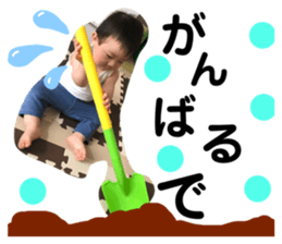 231497335
