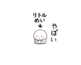 231537062