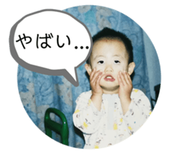 231575781