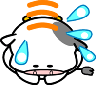 231587720