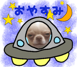 231690130