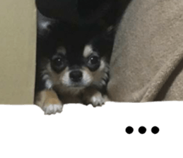 231690136