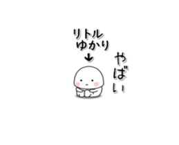 231729462