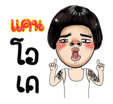 231741352
