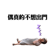 231756491