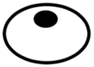 231828491